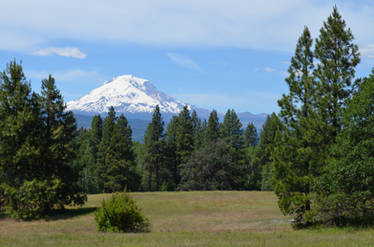 Mount Adams