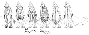 Bojurian Species: Clothes