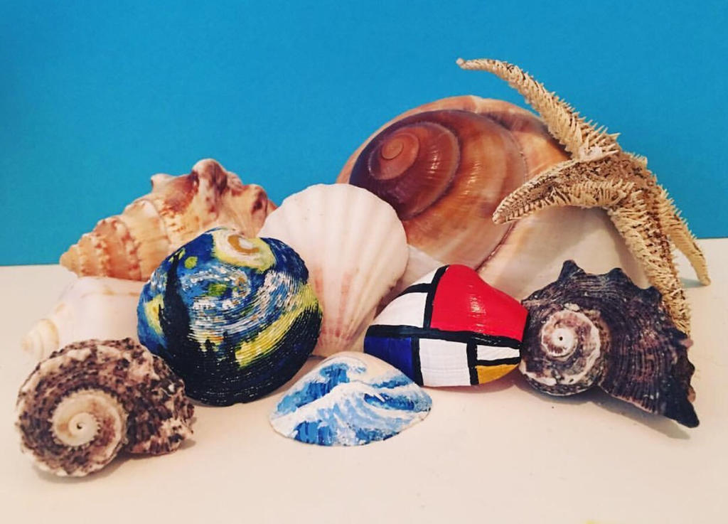 Shell Art Collection Shell collection by courtneyrox4444 on DeviantArt