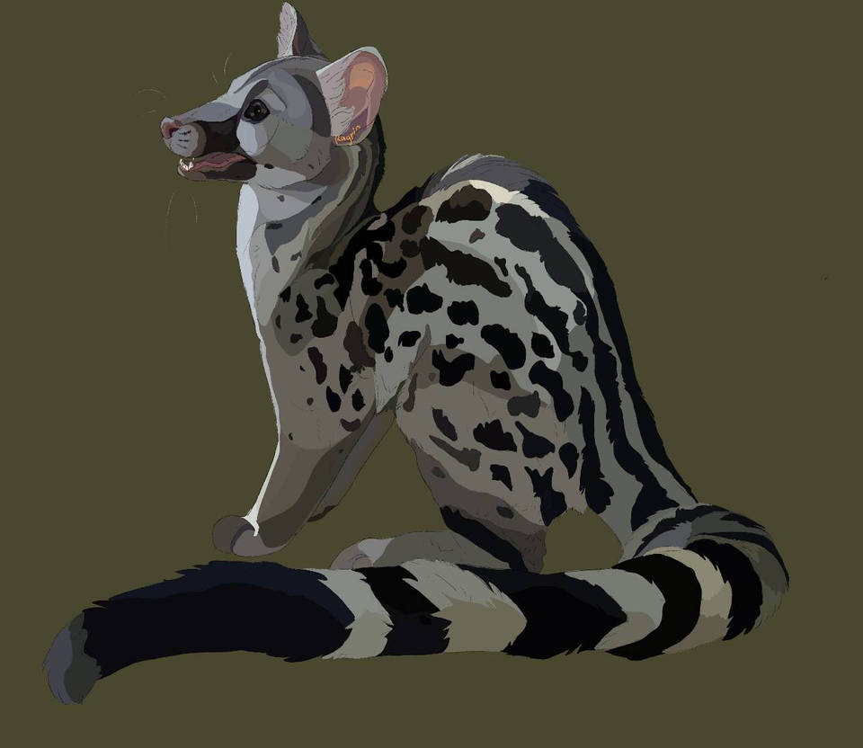 genet by wolf-sketcher21 on DeviantArt