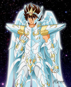 Seiya God Cloth