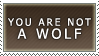 You are not a Wolf by alaska-is-a-husky