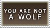 You are not a Wolf