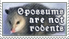 Opossums Aren't Rodents by alaska-is-a-husky