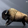 Bison antiquus