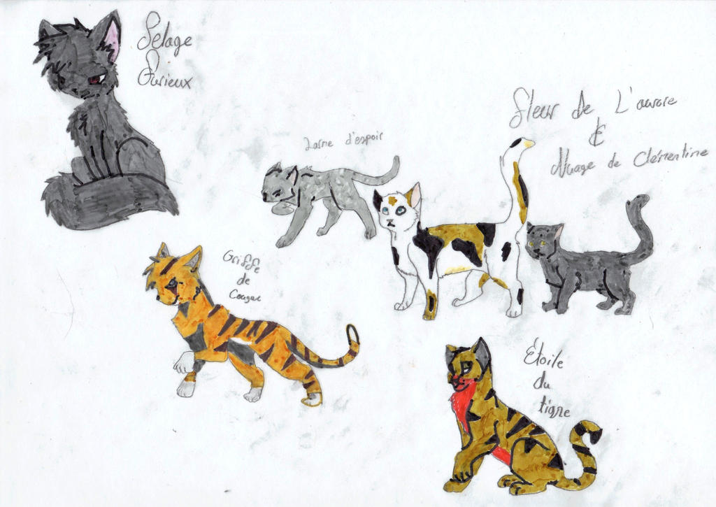 Guerre des Clans-Fan Art by shalaira on DeviantArt