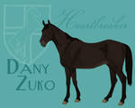 QHS' Dany Zuko by gabcocoa
