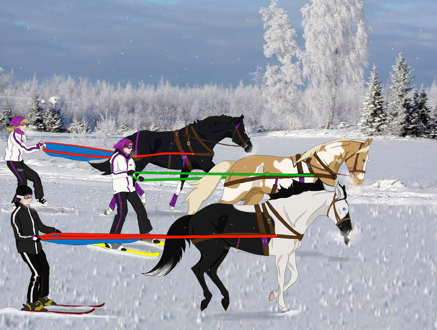 Winter Wonderland