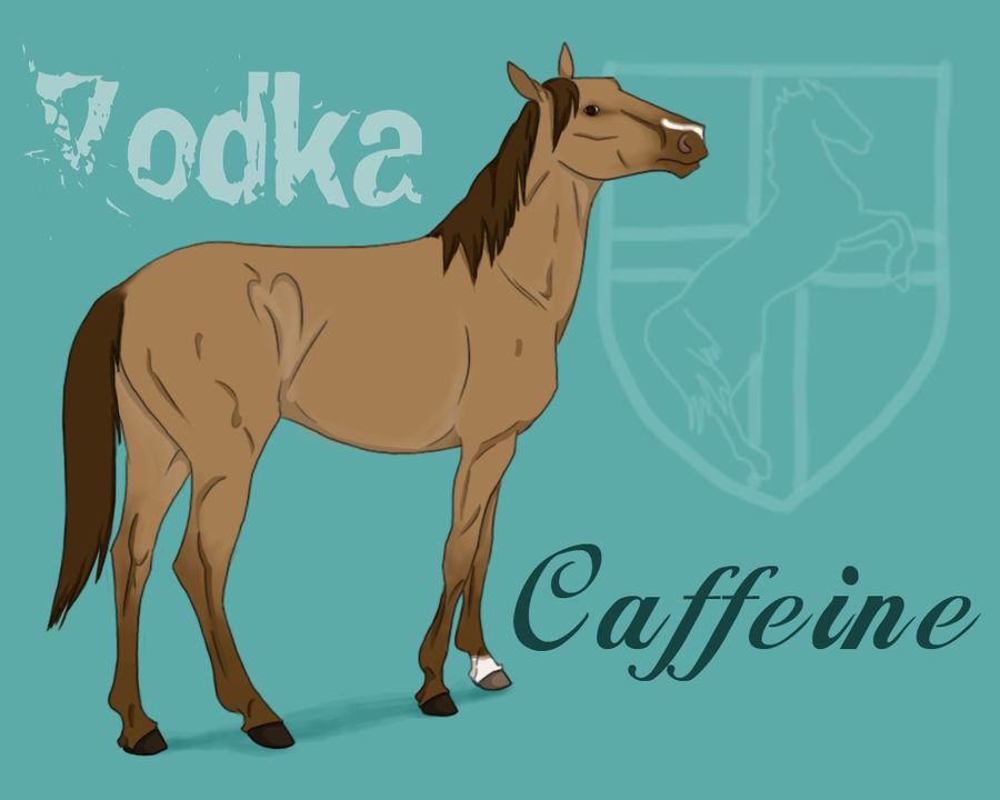 QHS' Vodka Caffeine