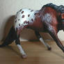 Appaloosa Cutting Mare