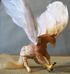 Peighinneach -Appie Hippogriff by ElkStarRanchArtwork