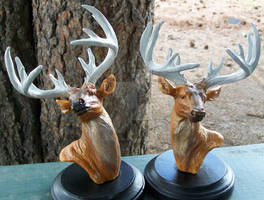 Deer Busts