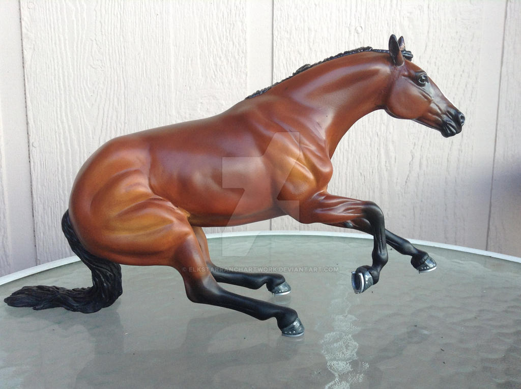 Bay Quarter Horse mare