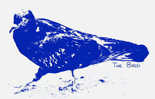 the bird