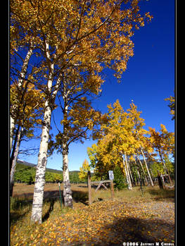 Mt Evans Trip 12