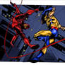 DD VS Wolvie in Color