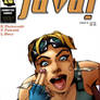 Java cover