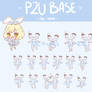 P2U BASE - 2