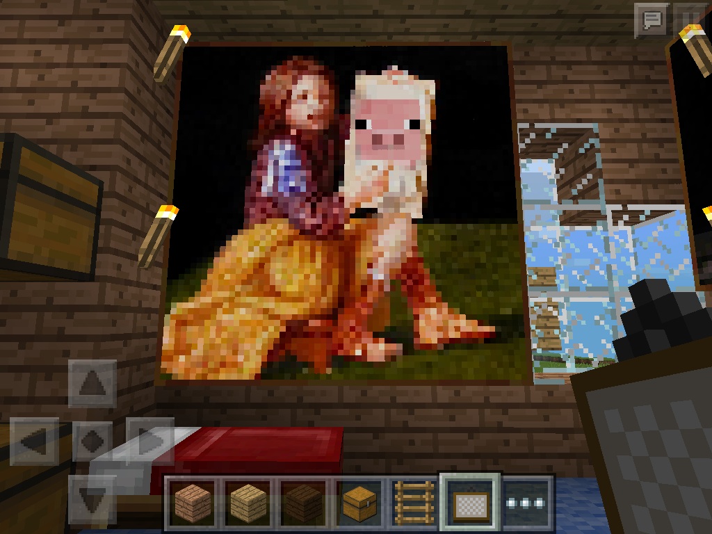 Minecraft, Wtf!?