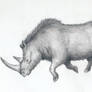 The Woolly Rhinoceros
