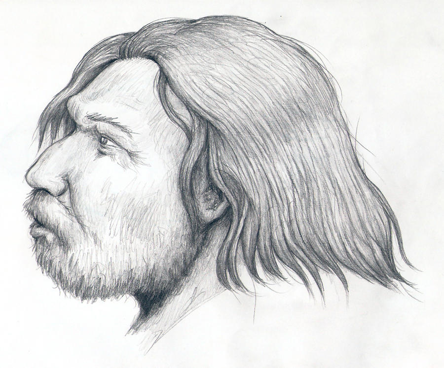 Neanderthal profile