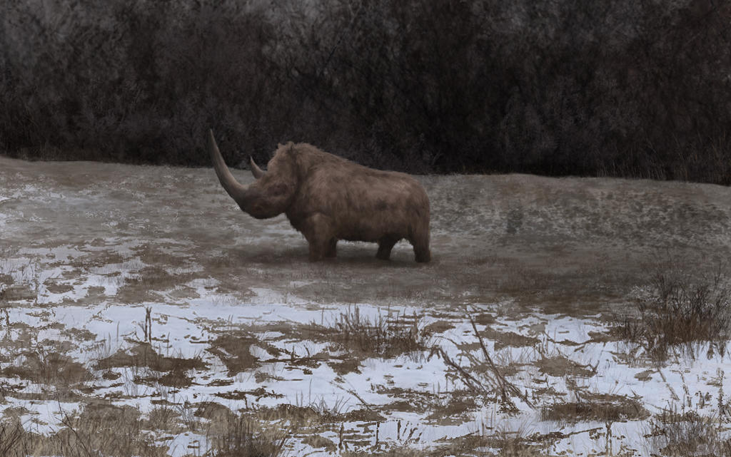 The Woolly rhinoceros by Mihin89 on DeviantArt
