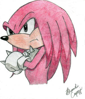 knuckles-editted