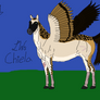 LWs: Chiela