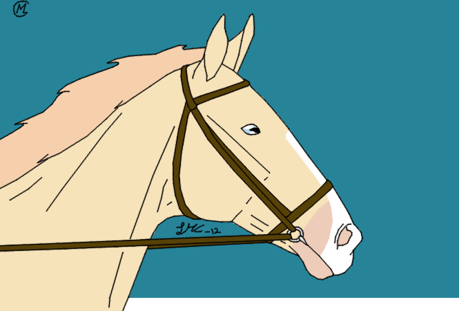 Race Meeting: Silenus