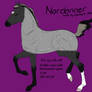 Nordanner Foal - #2124