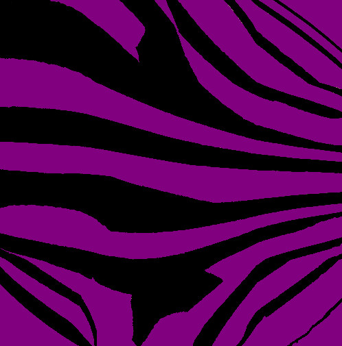 Zebras- Purple