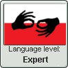 L.s. - Polish Sign Language - Expert by Sasza-Ola on DeviantArt