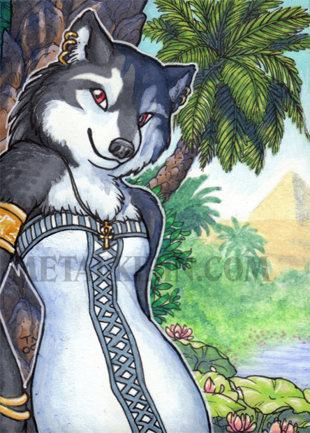 Salty-dog ACEO commission