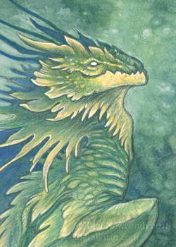Aceo Flower Dragon Yellow
