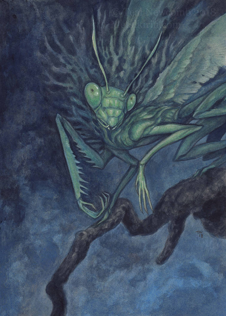 Mantis Fae Mantis Fae by thedancingemu on DeviantArt