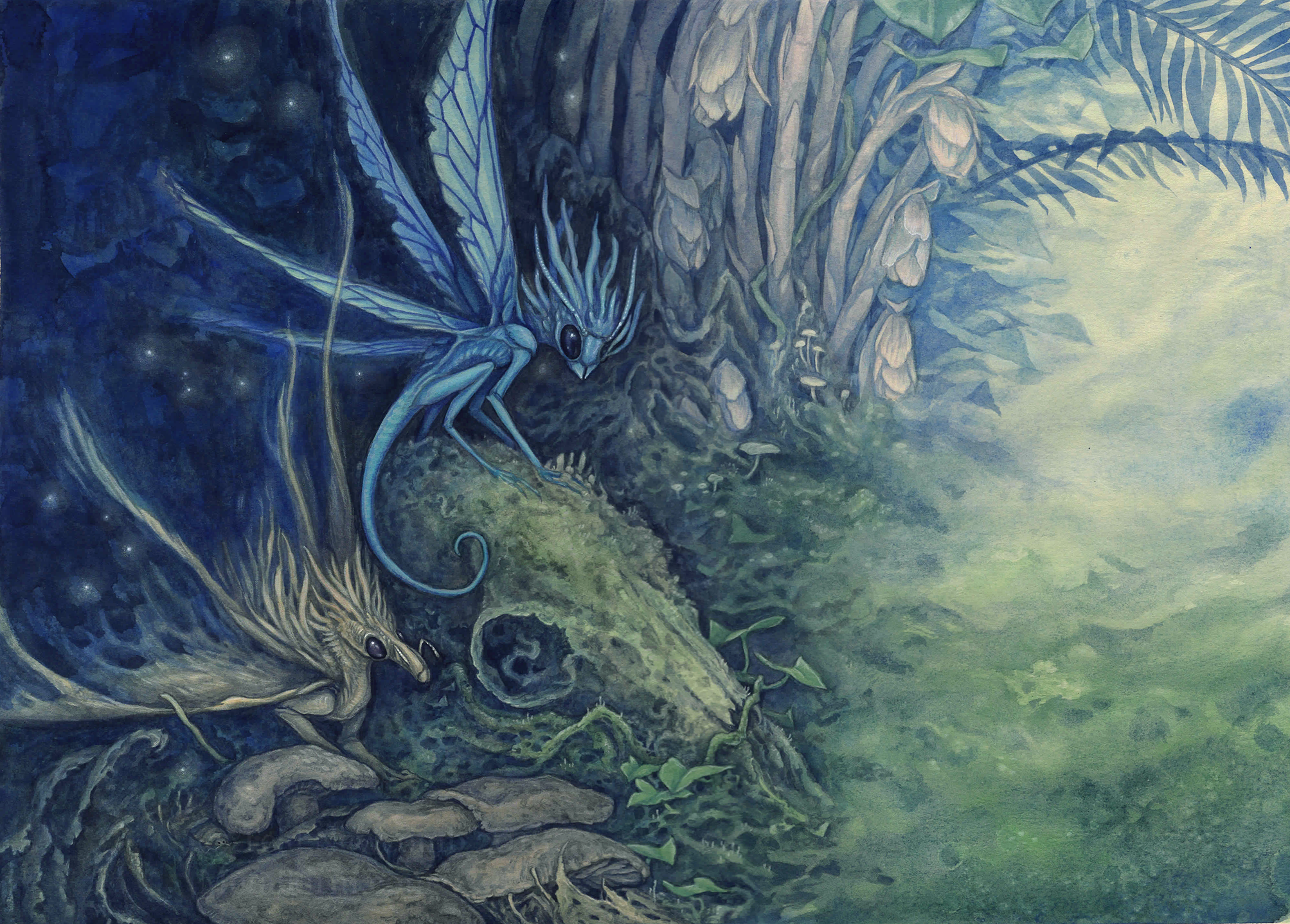 Encounters with the Imaginary - Cordyceps Faeries