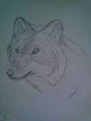 Realistic Wolf