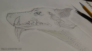 Dragon Pencil Drawing