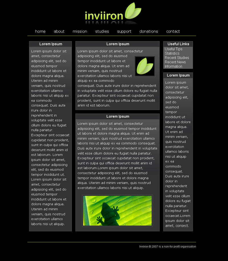 Inviiron - Webdesign