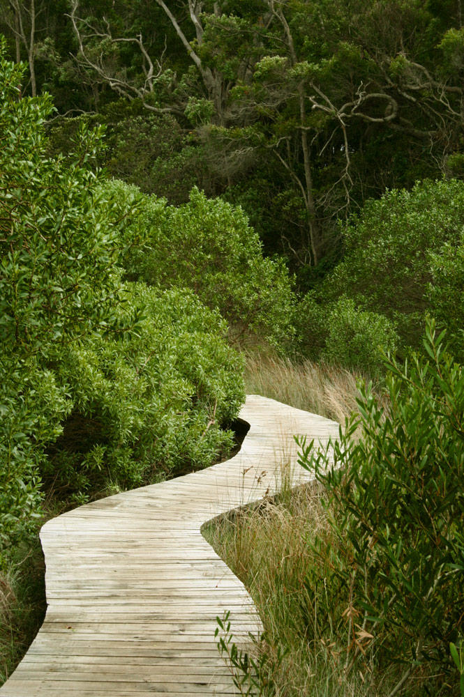 Pothway Pathway by dotau on DeviantArt