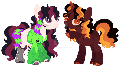 November Adopts 2 (CLOSED)