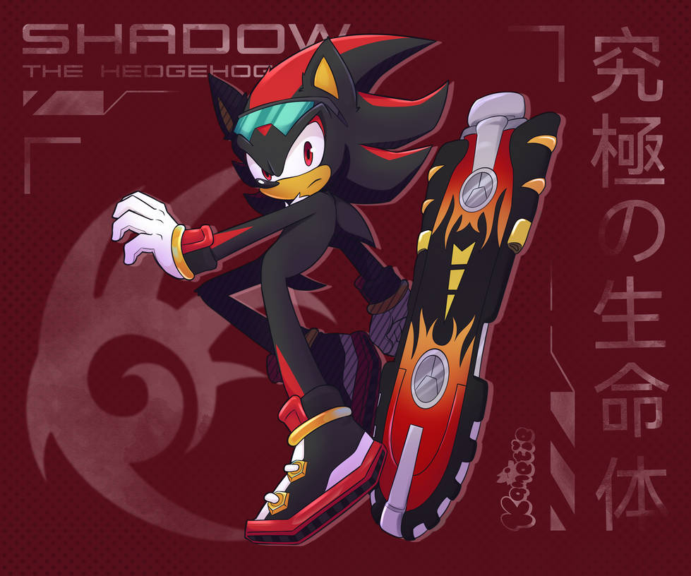 Multi Riders Shadow Shadow The Hedgehog | Sonic Riders by Kametie on DeviantArt