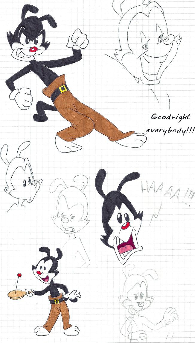 Yakko Warner 2