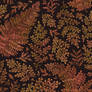 Autumnal ferns