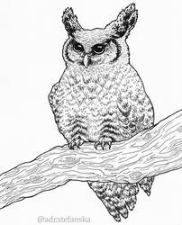 Inktober 2022 (20) Owl on a branch