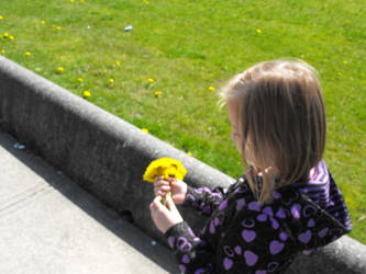 Picking Flowers