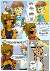 FoxGirls and CatGirls #47 by HaitoReal on DeviantArt