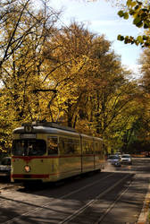 gold polish tram :D