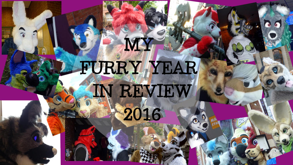 My Furry Year In Review 2016