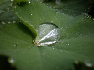 Waterdrop 1